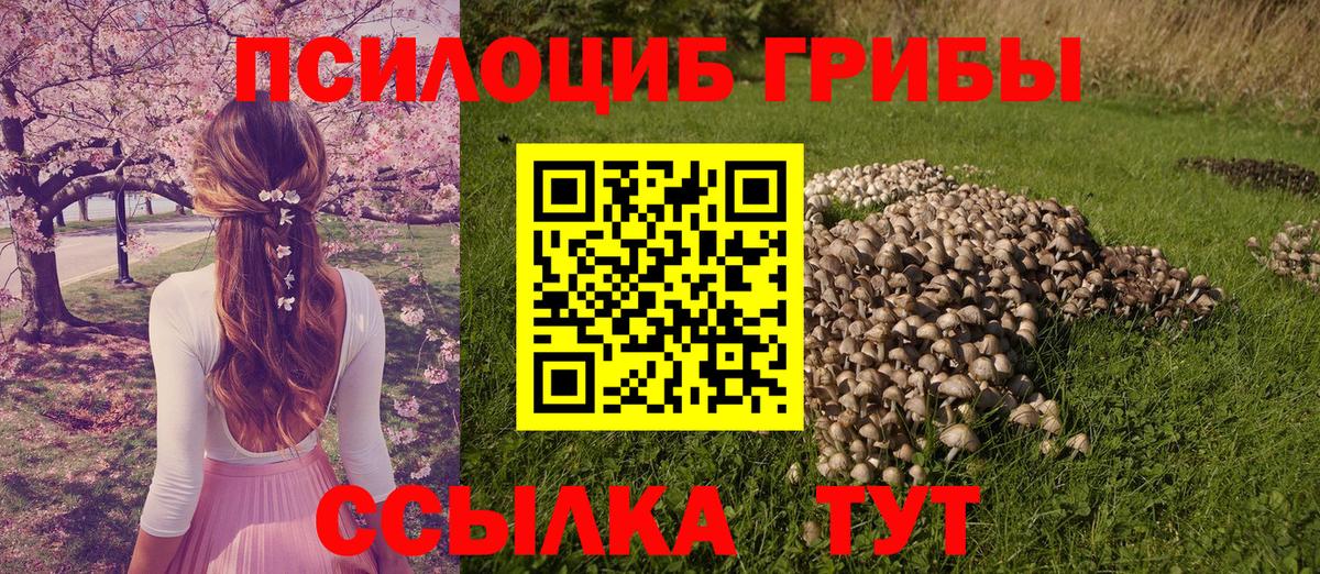 Кисловодск  дарнет шоп  Галлюциногенные грибы Cubensis  Вход с VPN  Галлюциногенные грибы мухоморы 