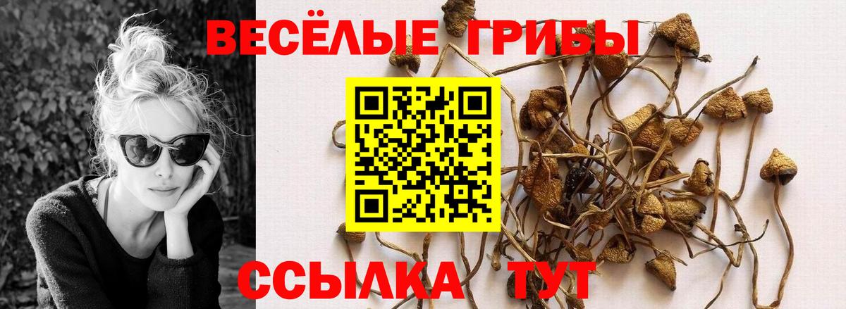 Псилоцибиновые грибы мухоморы Кисловодск